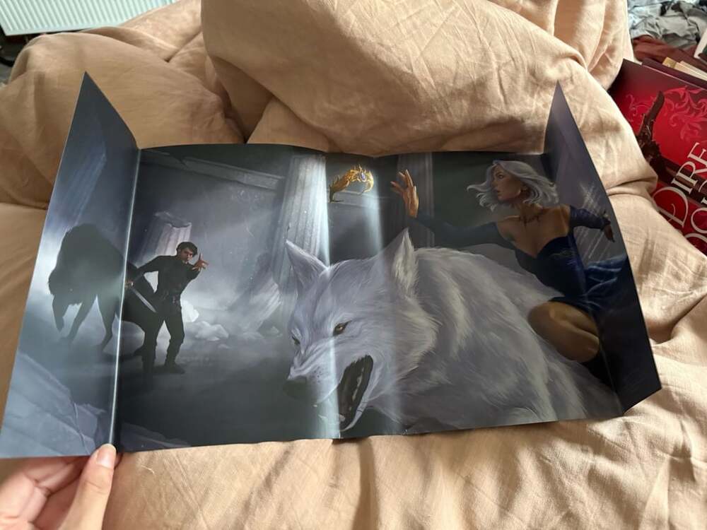 Sable Sorensen Dire Bound Hardcover Special Edition - Picture 11 of 13